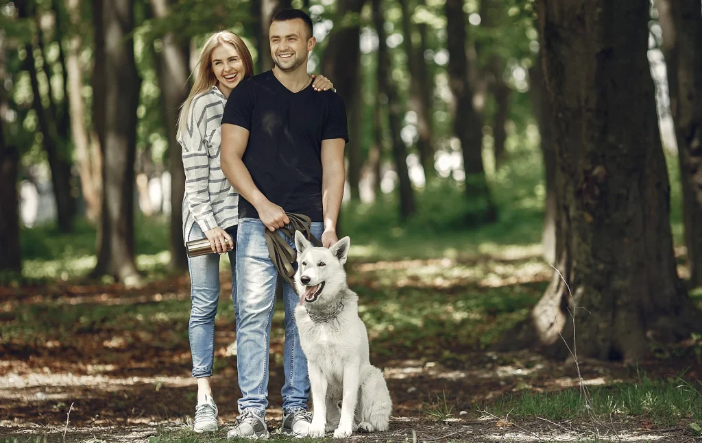 erdei kutyabarát szállás